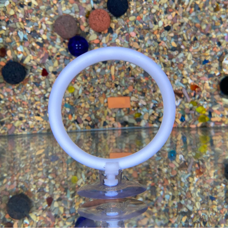 Gymnastic Ring - 1pcs Plastic Fish Tank Aquarium Artificial